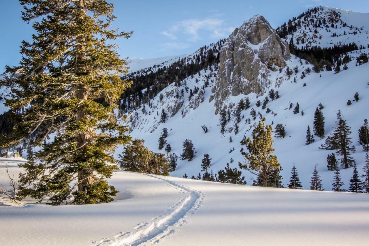 The Summit 72 Lägenhet Mammoth Lakes Exteriör bild